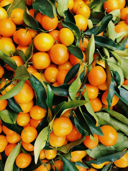 The Ultimate Guide to Preserving the Freshness of Oranges